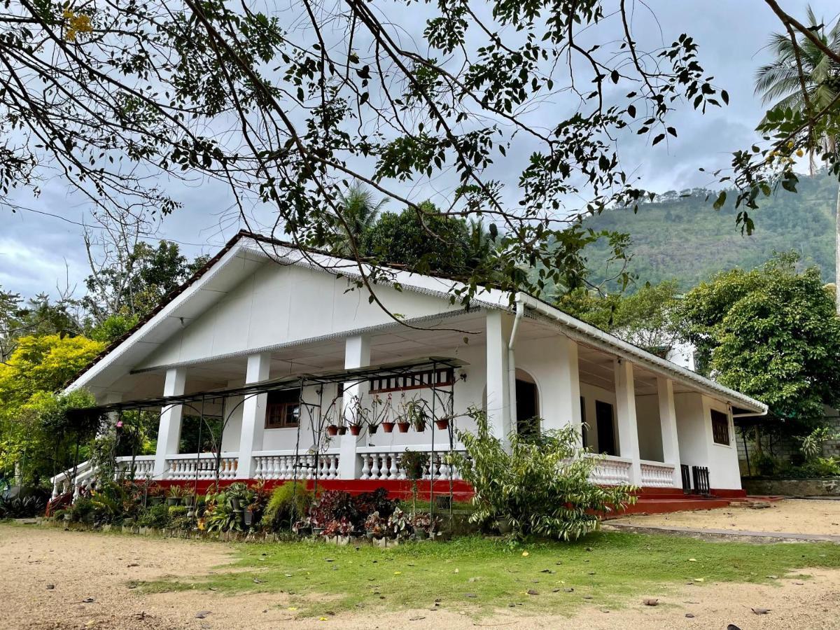 Shadey Cottage Gampola Exteriör bild